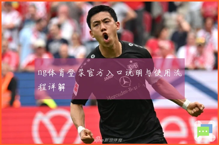 ng体育登录官方入口说明与使用流程详解