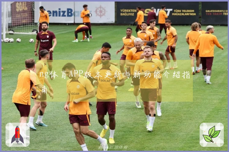 ng体育APP版本更新与新功能介绍指南