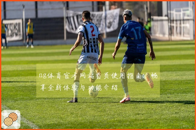 ng体育官方网站首页使用指南：畅享全新体验与功能介绍