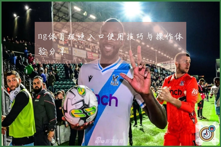 ng体育极速入口使用技巧与操作体验分享