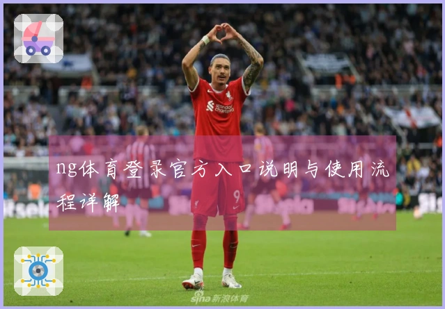 ng体育登录官方入口说明与使用流程详解