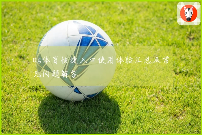 ng体育快捷入口使用体验汇总及常见问题解答