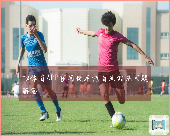 ng体育APP官网使用指南及常见问题解答