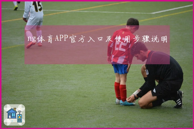 ng体育APP官方入口及使用步骤说明