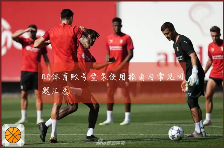 ng体育账号登录使用指南与常见问题汇总