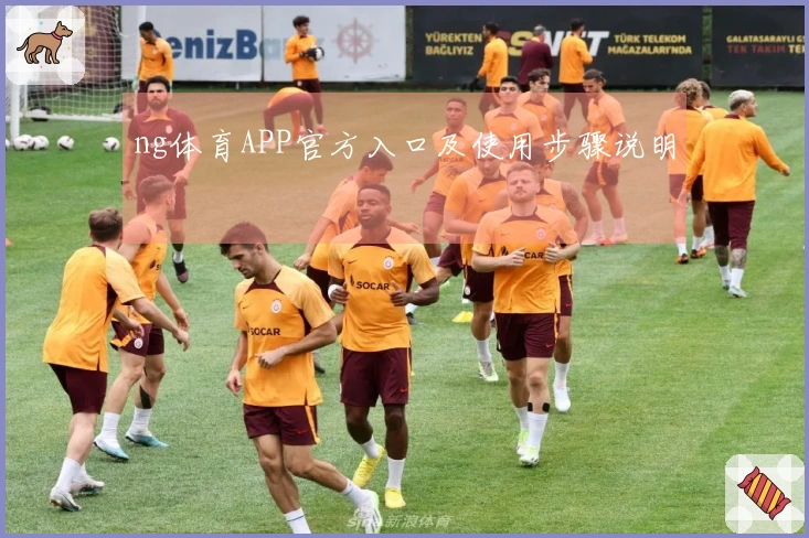 ng体育APP官方入口及使用步骤说明